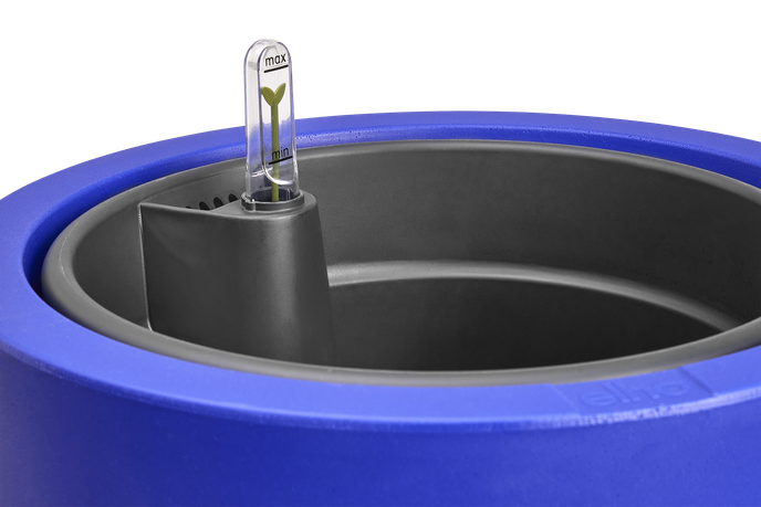 amber grail 47cm royalblau